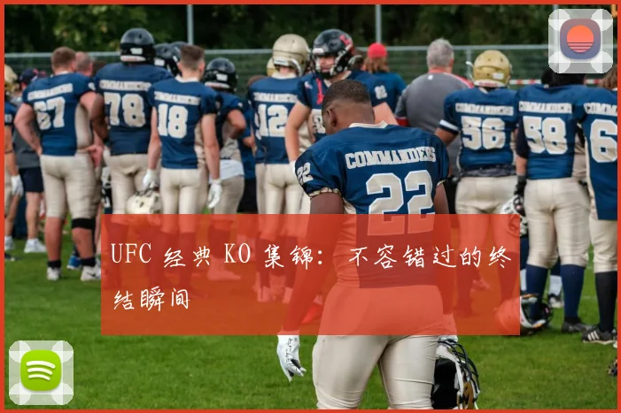 UFC 经典 KO 集锦：不容错过的终结瞬间