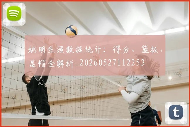 姚明生涯数据统计：得分、篮板、盖帽全解析_20260527112253