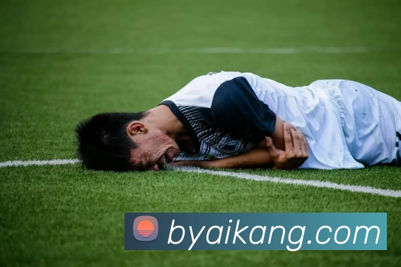 yy易游体育APP 封面图